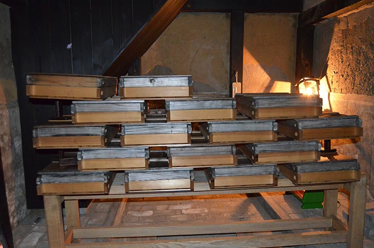 麹づくりワークショップ